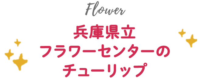 兵庫県立フラワーセンターのチューリップ