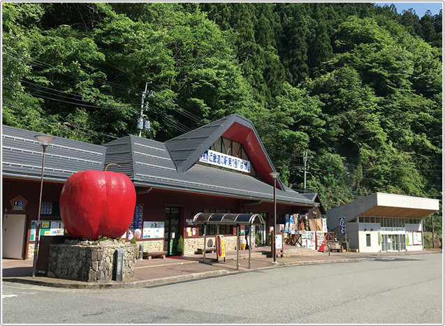 道の駅はが