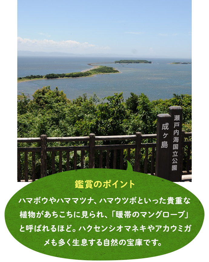 国立公園成ヶ島
