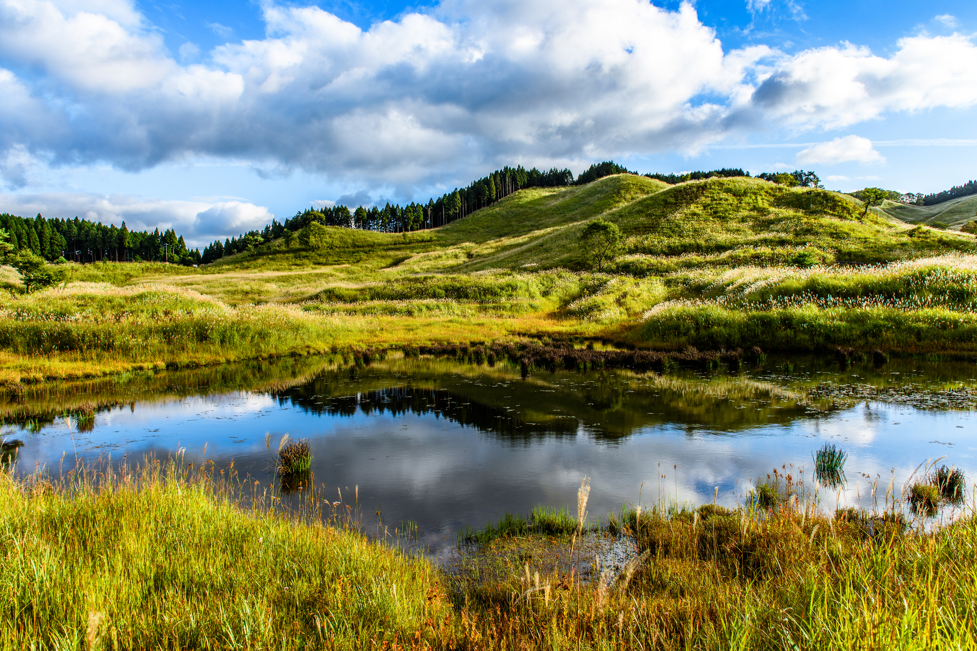 ロケーション検索
