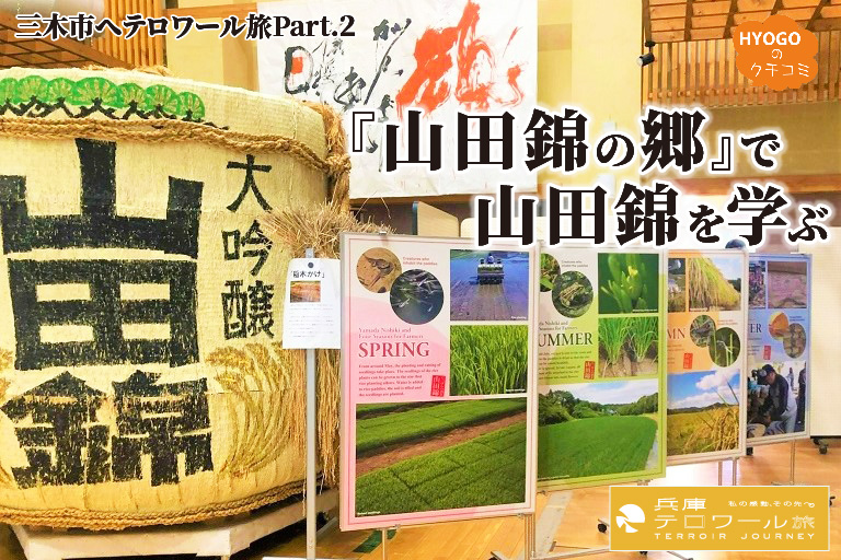 - Our Field, Our SDGs - 大阪・関西万博に向けて、ひょうごフィールドパビリオンのコンテンツを募集開始！ 酒米の王様『山田錦』の特A地区がある三木市へテロワール旅！「山田錦の郷」で山田錦を学ぶ