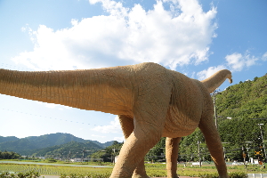 丹波市立薬草薬樹公園 観光スポット 公式 兵庫県観光サイト Hyogo ナビ 知っておきたい観光情報が盛りだくさん