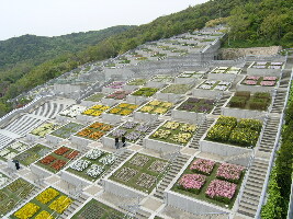 淡路の花と歴史