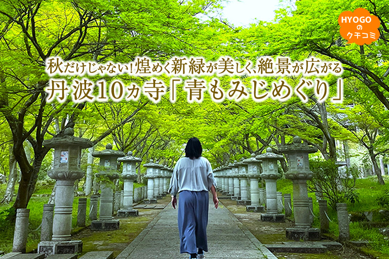 秋だけじゃない！煌めく新緑が美しく、絶景が広がる　丹波10ヵ寺「青もみじめぐり」