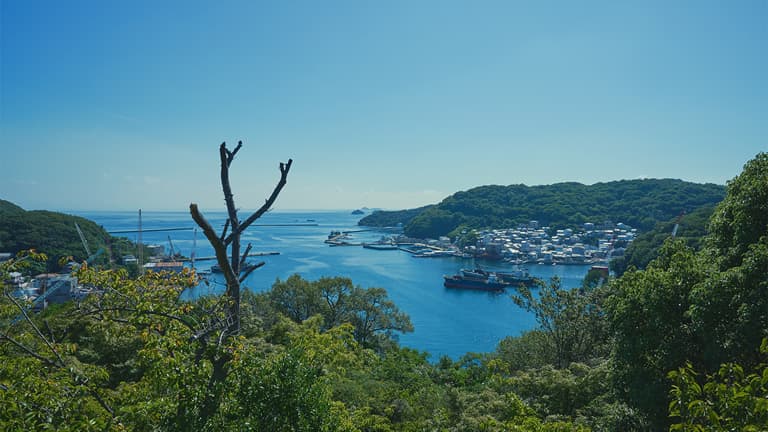 Discovering Life and Art in the Seto Inland Sea: A Journey Through Ieshima and Naoshima