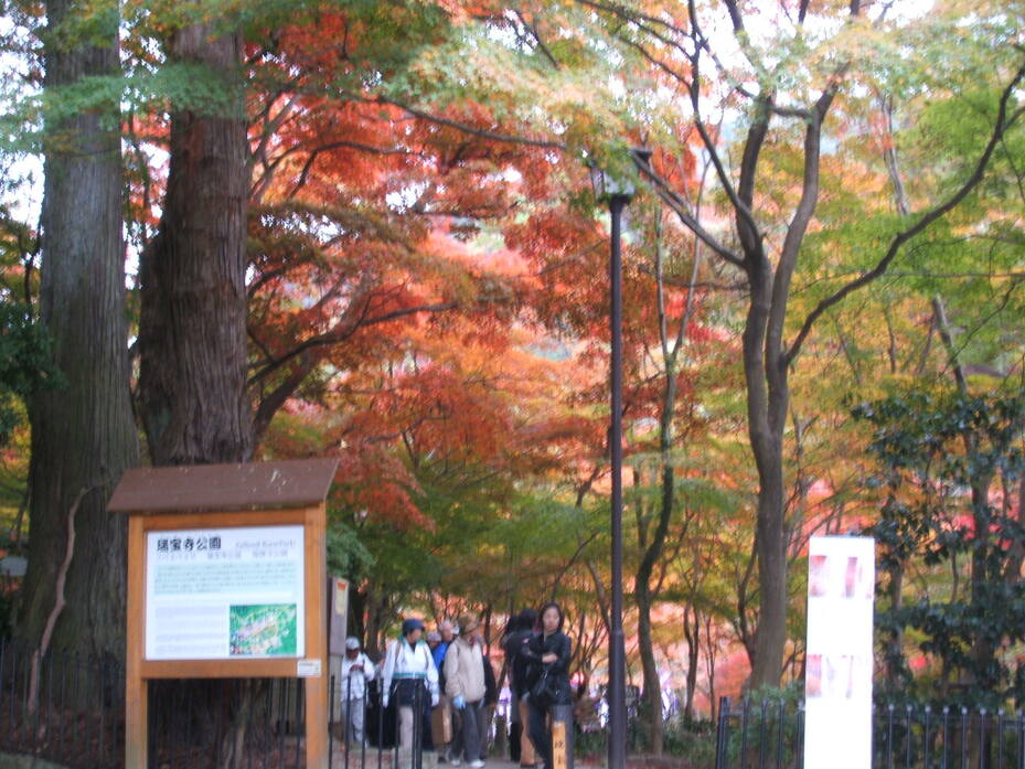 瑞宝寺公園 | 観光スポット | 【公式】兵庫県観光サイト HYOGO!ナビ | 知っておきたい観光情報が盛りだくさん！