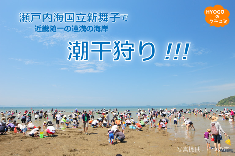 近畿随一の遠浅の海岸 瀬戸内海国立公園新舞子で潮干狩り！