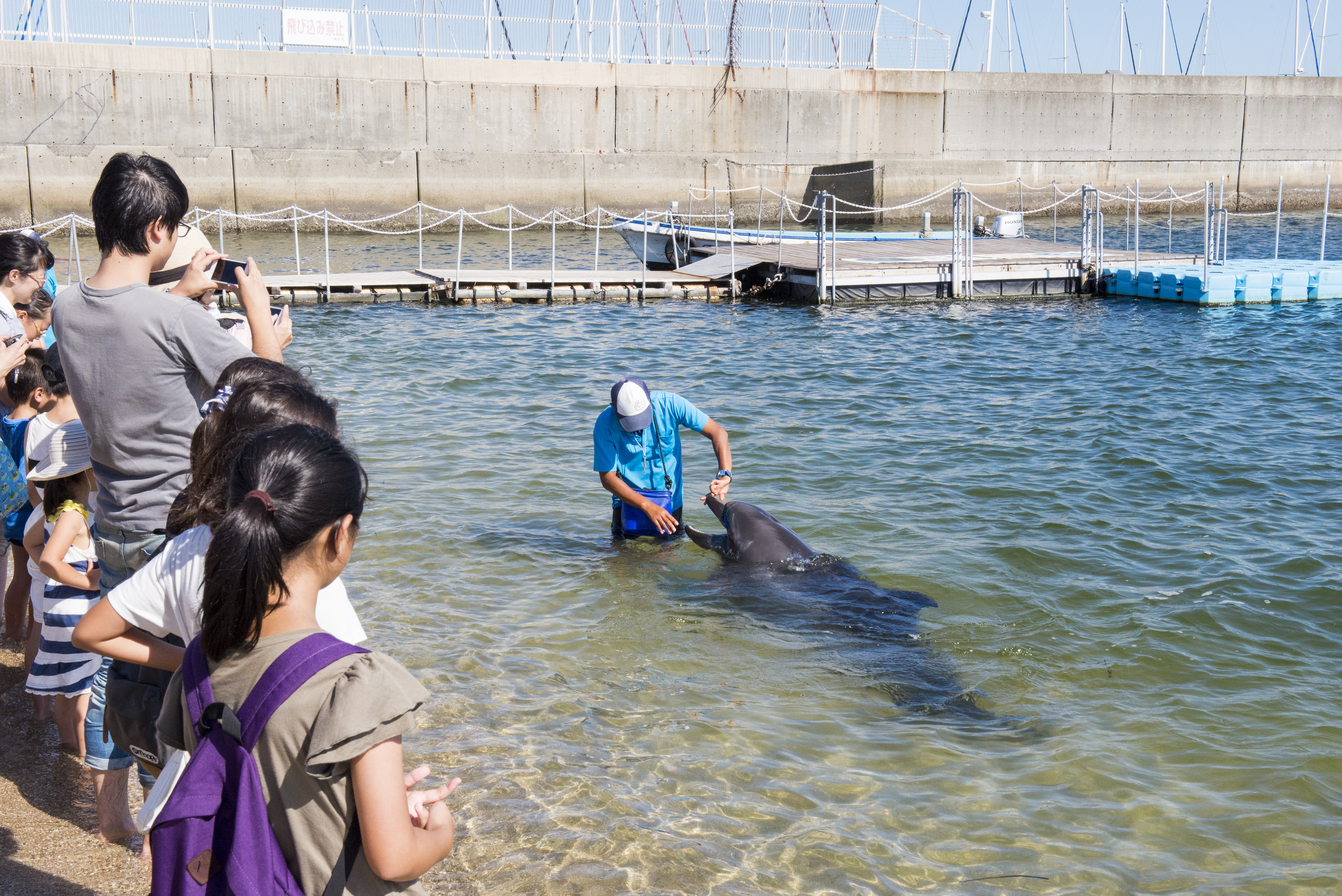 すま水生きものスクール 神戸市立須磨海浜水族園 観光スポット 兵庫県公式観光サイト Hyogo ナビ ひょうごツーリズムガイド
