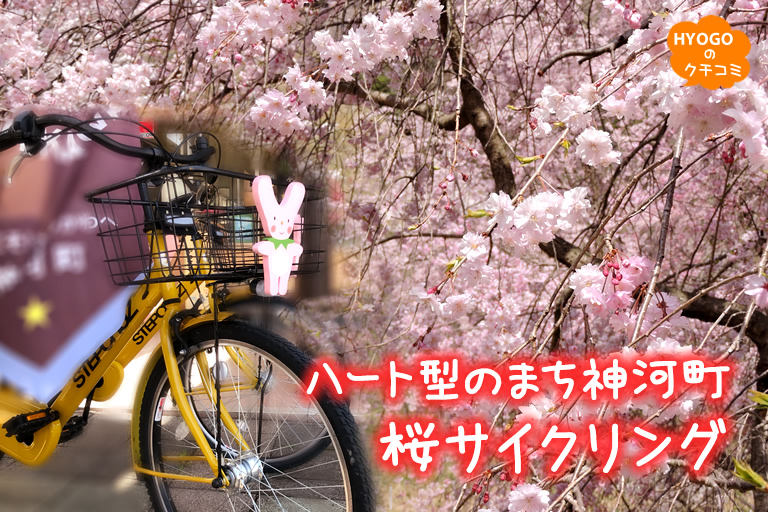 ハート型のまち♡神河町 桜サイクリング 【桜華園】