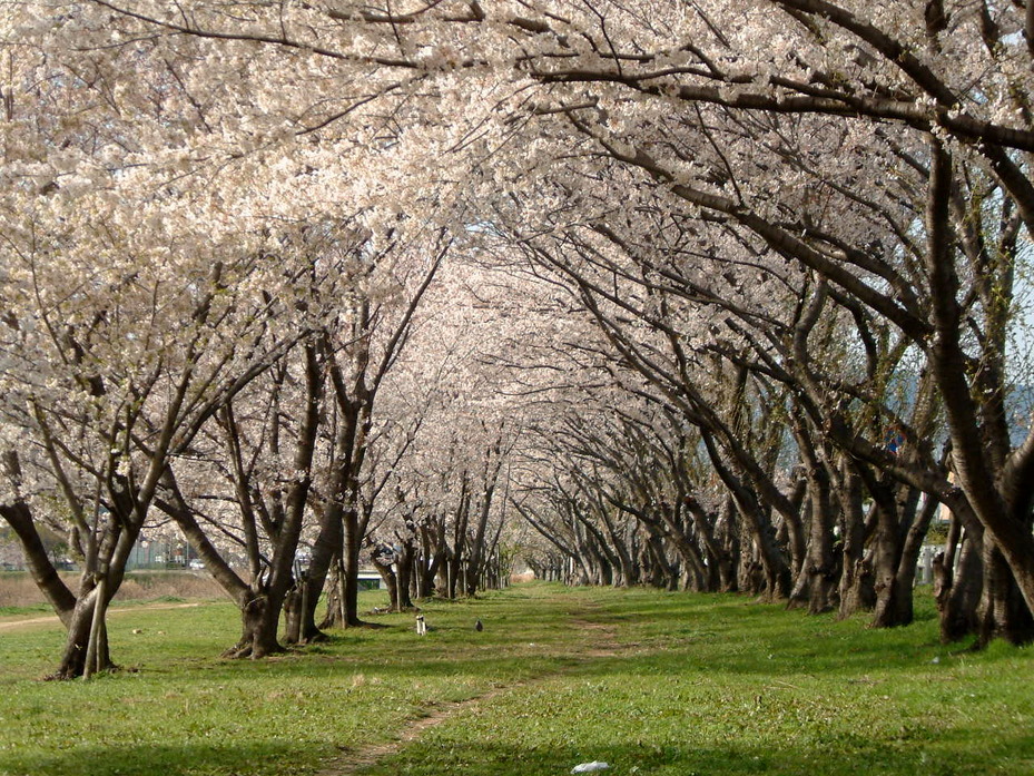 武庫川 PARKFUL