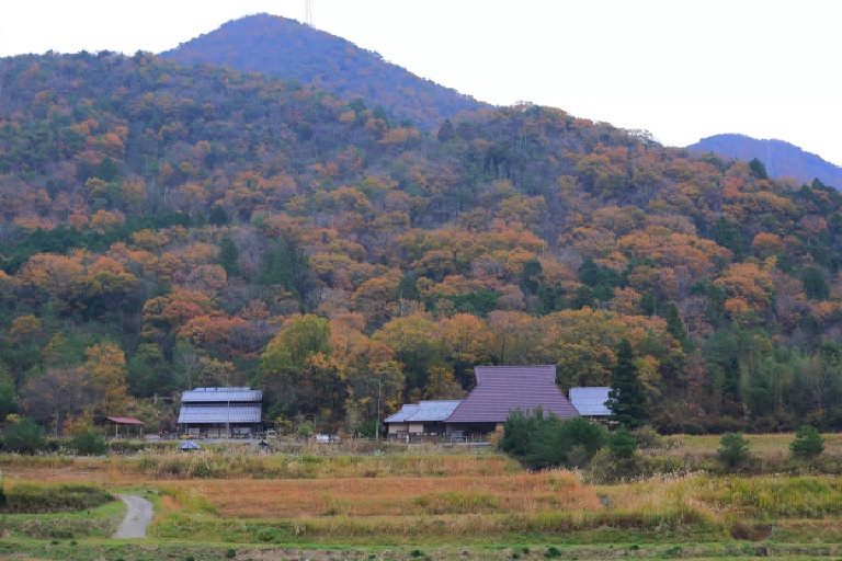  [Hyogo/Tamba] Let's visit "Tachikui", a hidden village of pottery! A trip where you can enjoy local interactions and walks