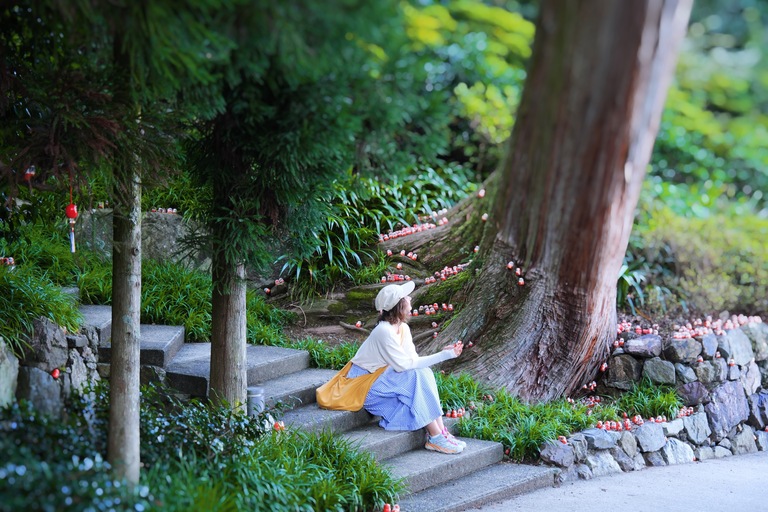 From nature to local soul food and drinks: discover new side of  Hyogo and Osaka Prefectures