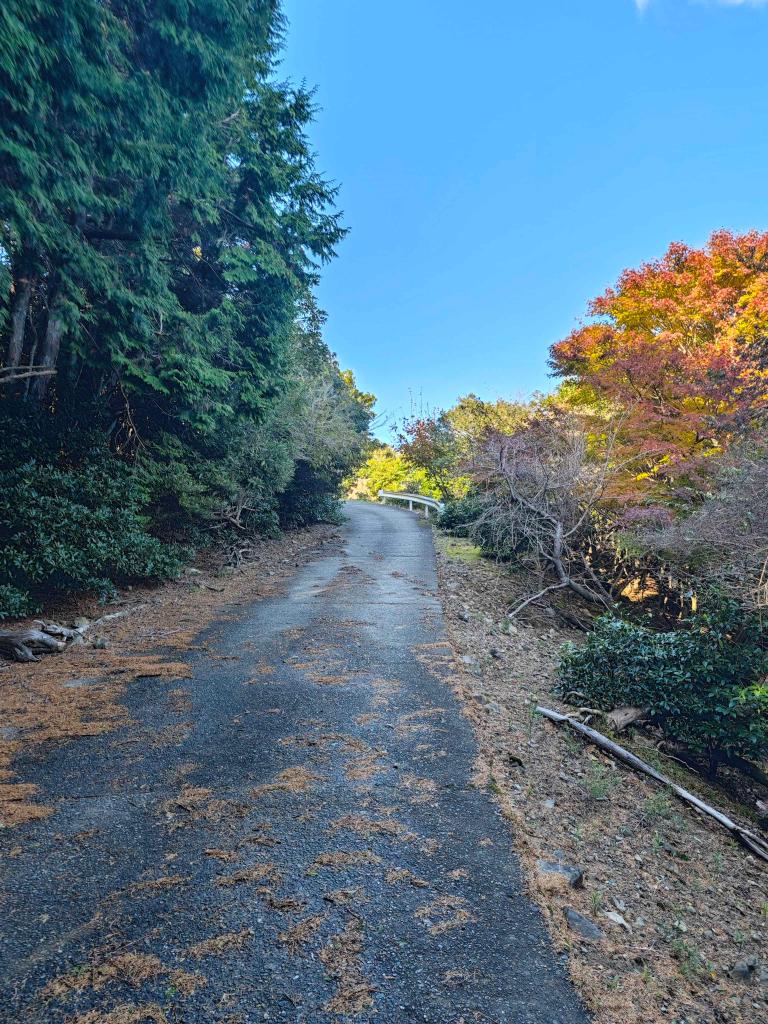 諭鶴羽山はとてもスピリチュアルな体験だった！