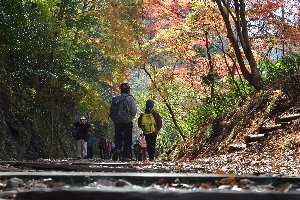 福知山線廃線敷ウォーク