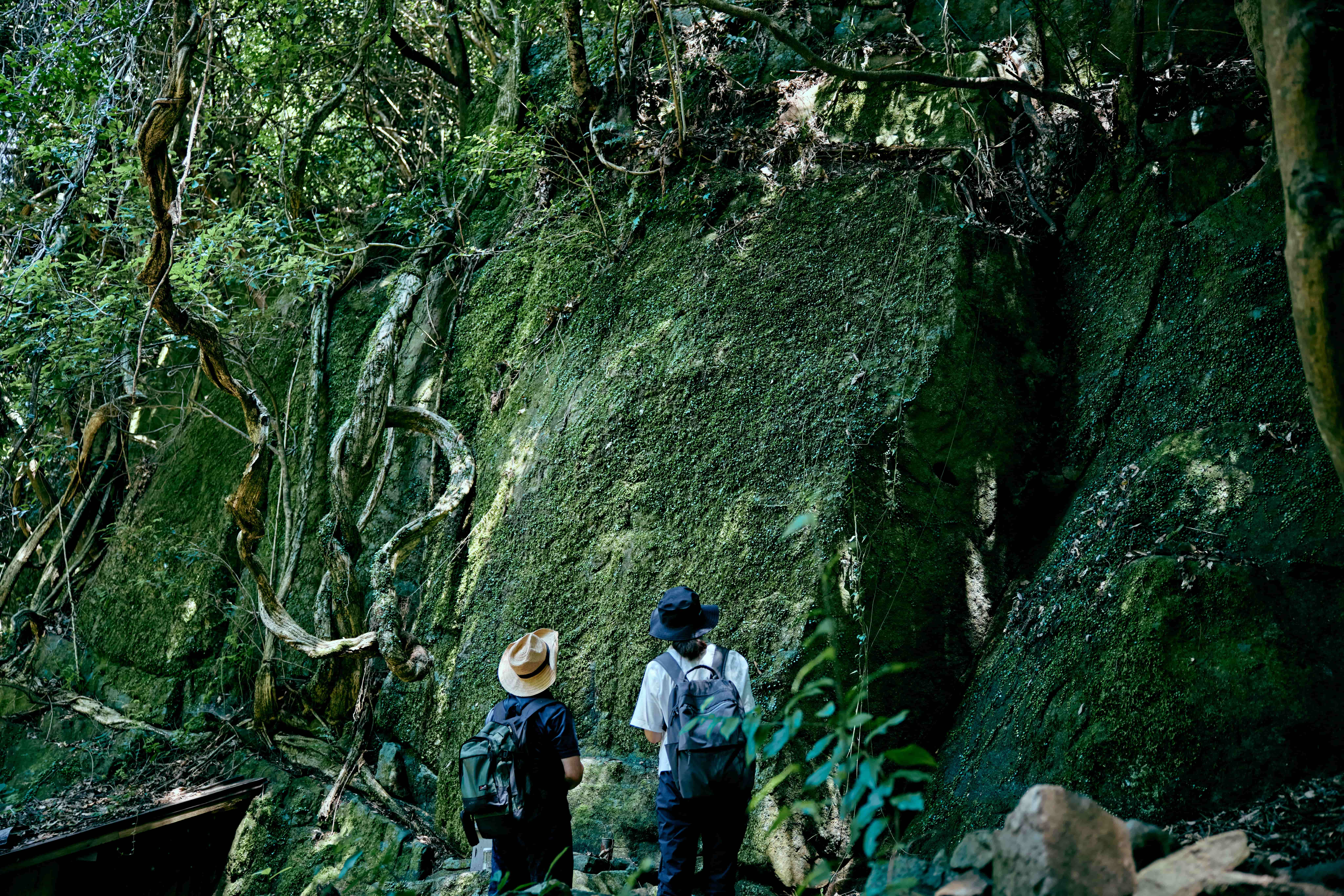Retreat into Nature in Kobe and Awaji Island