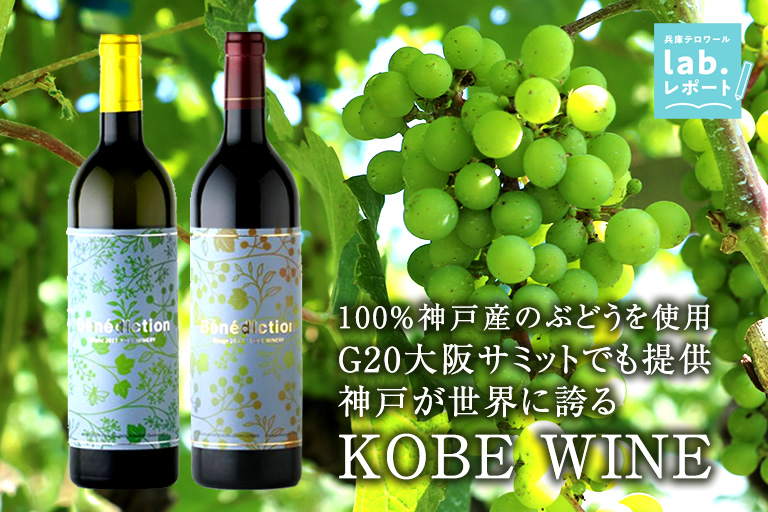 G20大阪サミットでも提供！神戸が世界に誇る「神戸ワイン」 100%神戸産のぶどうを使用 -兵庫テロワール旅-