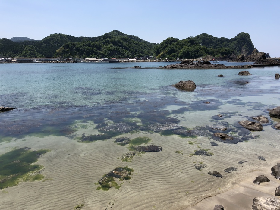諸寄海水浴場 観光スポット 公式 兵庫県観光サイト Hyogo ナビ 知っておきたい観光情報が盛りだくさん