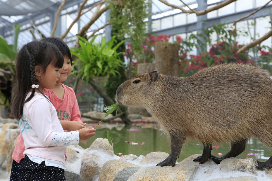 神戸動物王国