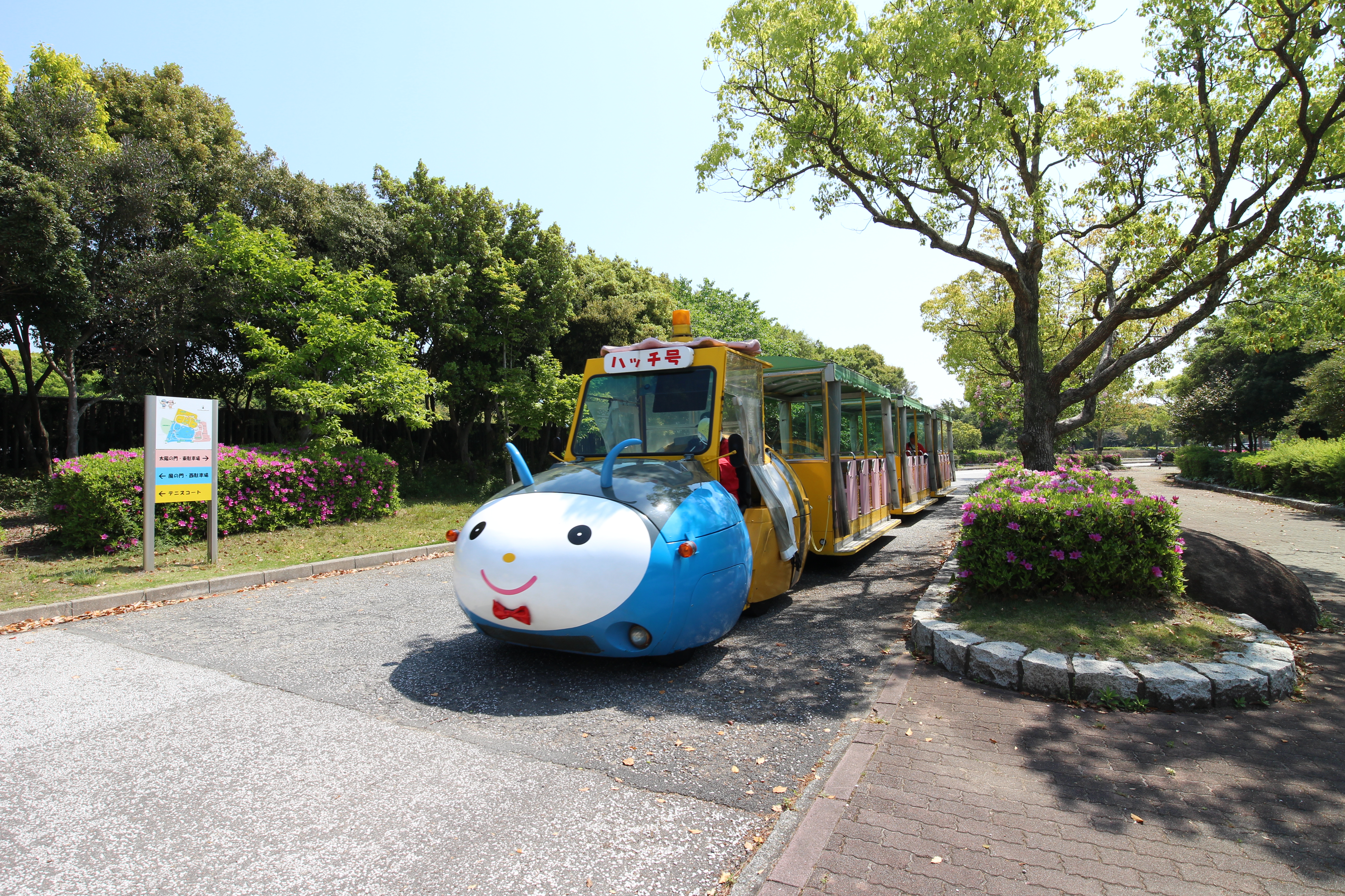 赤穂海浜公園 観光スポット 兵庫県公式観光サイト Hyogo ナビ ひょうごツーリズムガイド