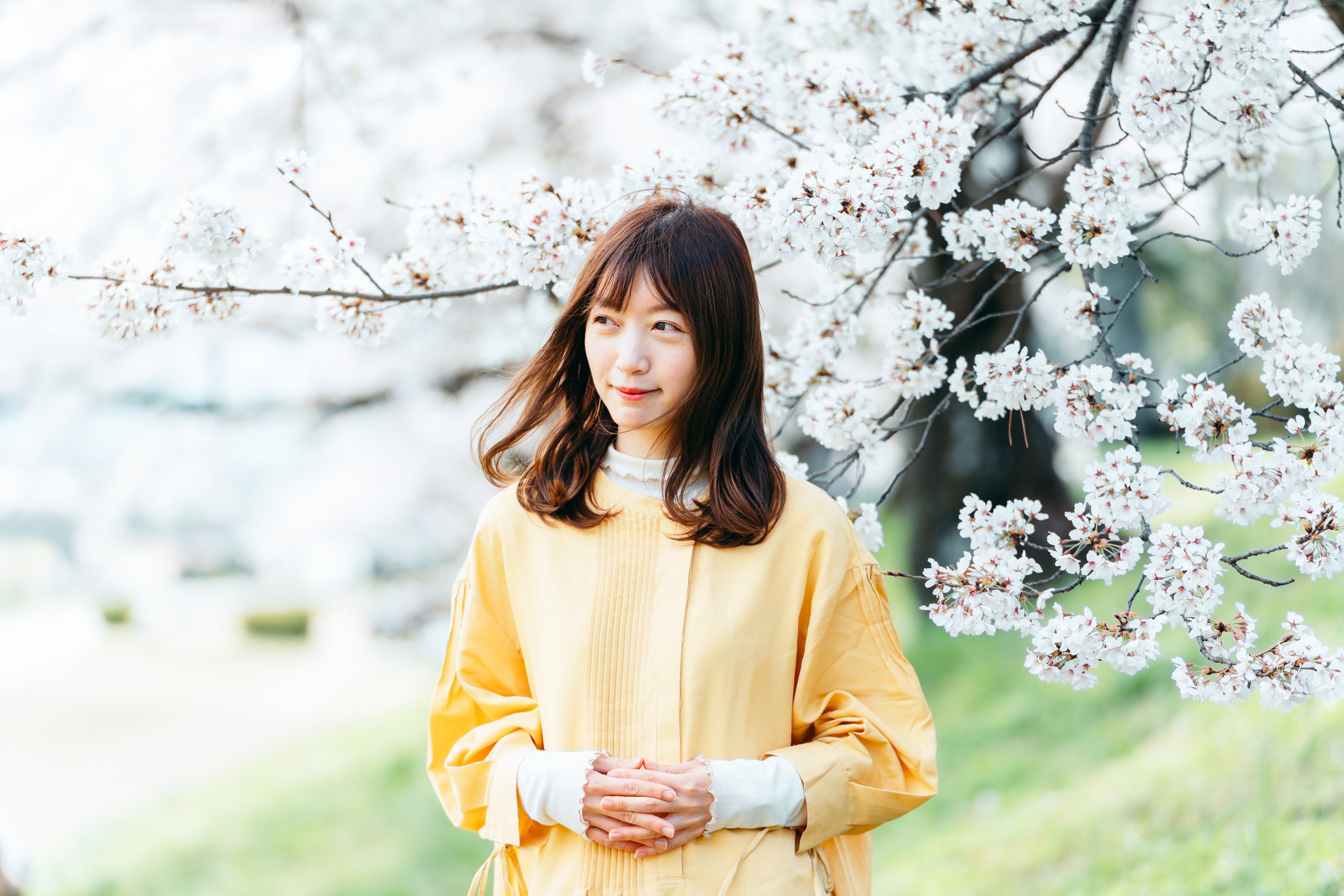 Miho Wang