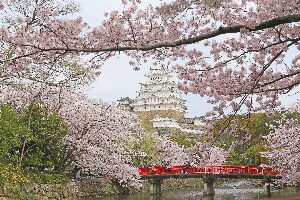 姫路城と六甲・有馬温泉