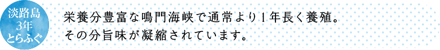 栄養分豊富な鳴門海峡で通常より１年長く養殖。その分旨味が凝縮されています。