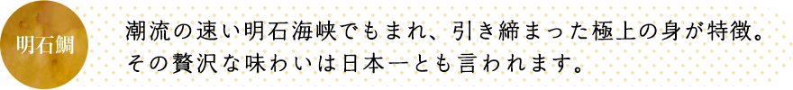 潮流の速い明石海峡でもまれ、引き締まった極上の身が特徴。その贅沢な味わいは日本一とも言われます。