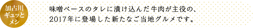 味噌ベースのタレに漬け込んだ牛肉が主役の2017年に登場した新たなご当地グルメです。