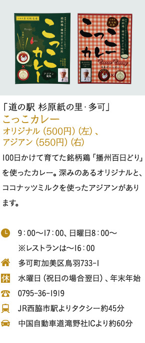 「道の駅 杉原紙の里・多可」こっこカレーオリジナル(500円)、アジアン(550円)