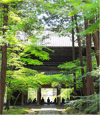 曹源寺