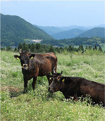 兵庫県立但馬牧場公園