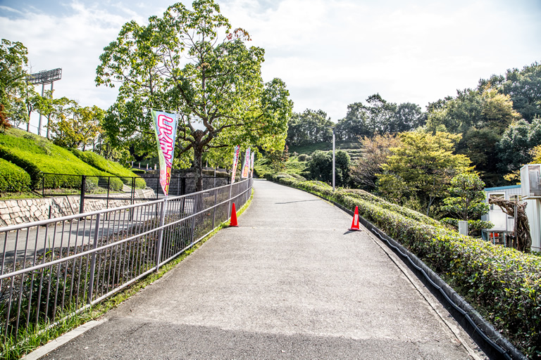 広大な土地に1万本のコスモスの絨毯 神戸総合運動公園 コスモスの丘 口コミ 兵庫県公式観光サイト Hyogo ナビ ひょうごツーリズムガイド 広大な土地に1万本のコスモスの絨毯 神戸総合運動公園 コスモスの丘 口コミ 兵庫県公式観光サイト Hyogo ナビ ひょうごツーリズムガイド