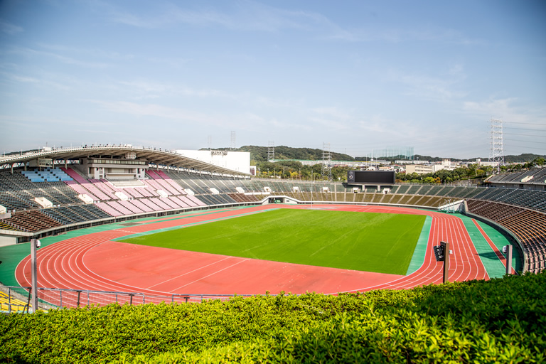 広大な土地に1万本のコスモスの絨毯 神戸総合運動公園 コスモスの丘 口コミ 兵庫県公式観光サイト Hyogo ナビ ひょうごツーリズムガイド