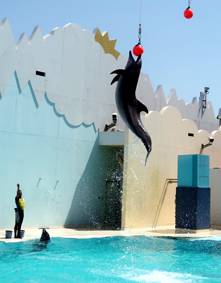 遊び心が盛りだくさん みんな大好き須磨水族園 口コミ 兵庫県公式観光サイト Hyogo ナビ ひょうごツーリズムガイド