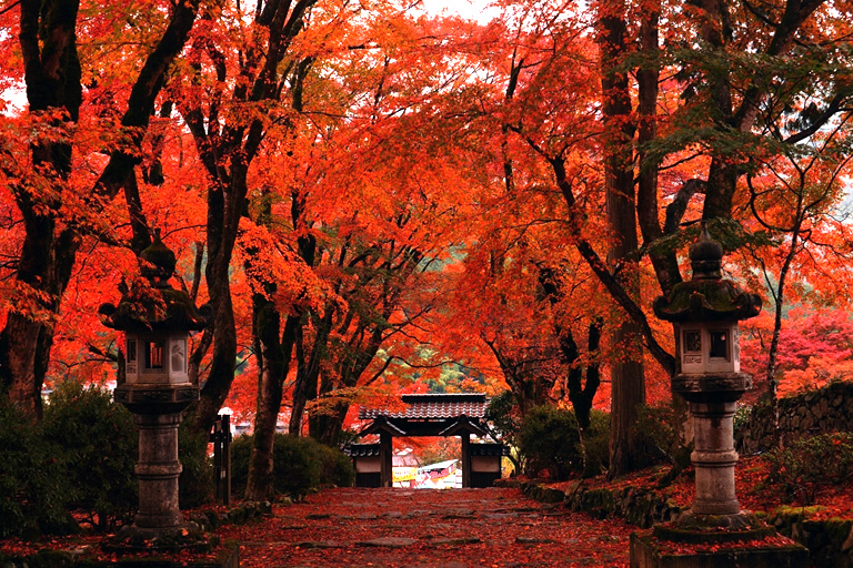 丹波紅葉三山ドライブめぐりで 心もお腹も幸せな休日を 口コミ 兵庫県公式観光サイト Hyogo ナビ ひょうごツーリズムガイド