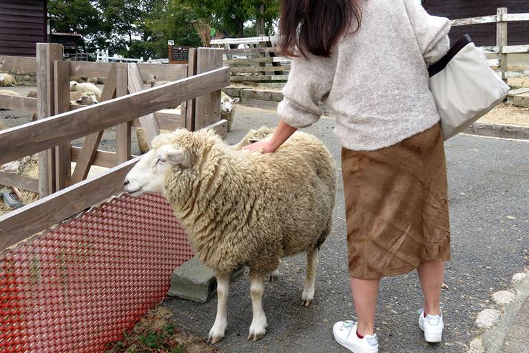 これぞ王道 六甲山ドライブ 口コミ 兵庫県公式観光サイト Hyogo ナビ ひょうごツーリズムガイド これぞ王道 六甲山ドライブ 口コミ 兵庫県公式観光サイト Hyogo ナビ ひょうごツーリズムガイド