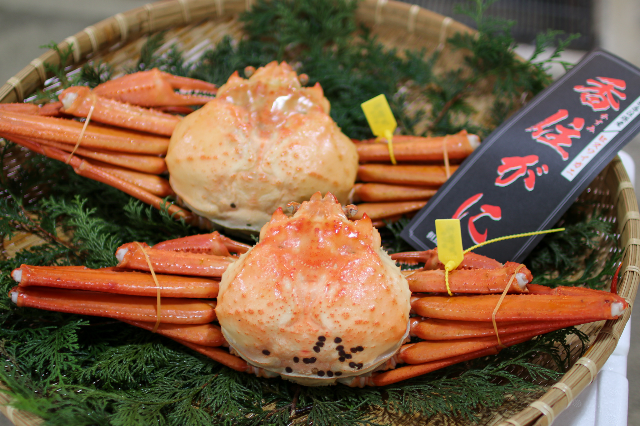 ニッポンの冬の美味！香住のカニ 。幻のカニ、柴山GOLDも。 | 口コミ | 【公式】兵庫県観光サイト HYOGO!ナビ |  知っておきたい観光情報が盛りだくさん！