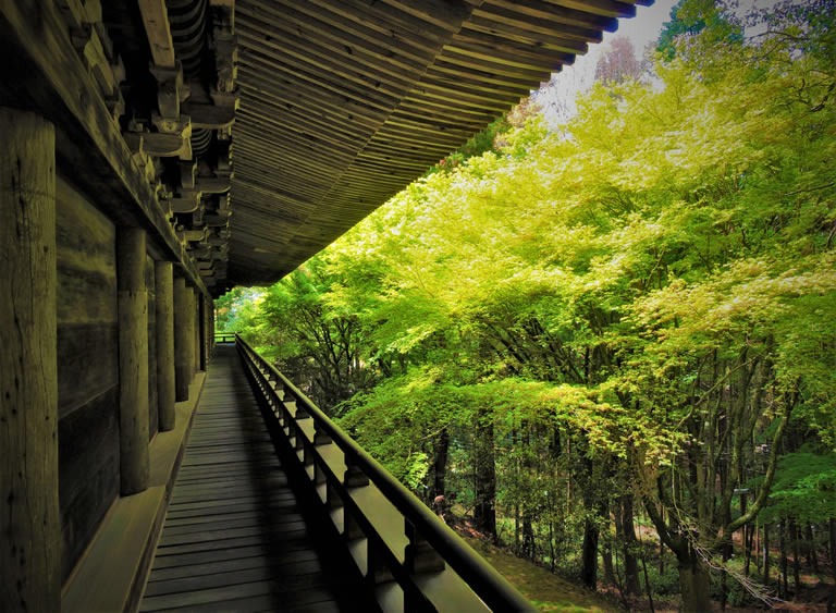 The Last Samurai』ロケ地！―新緑の書写山圓教寺へハイキングと写経