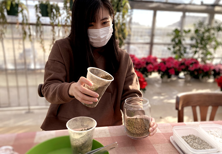 ガラス瓶の中に小さな森 苔テラリウムづくり 口コミ 公式 兵庫県観光サイト Hyogo ナビ 知っておきたい観光情報が盛りだくさん