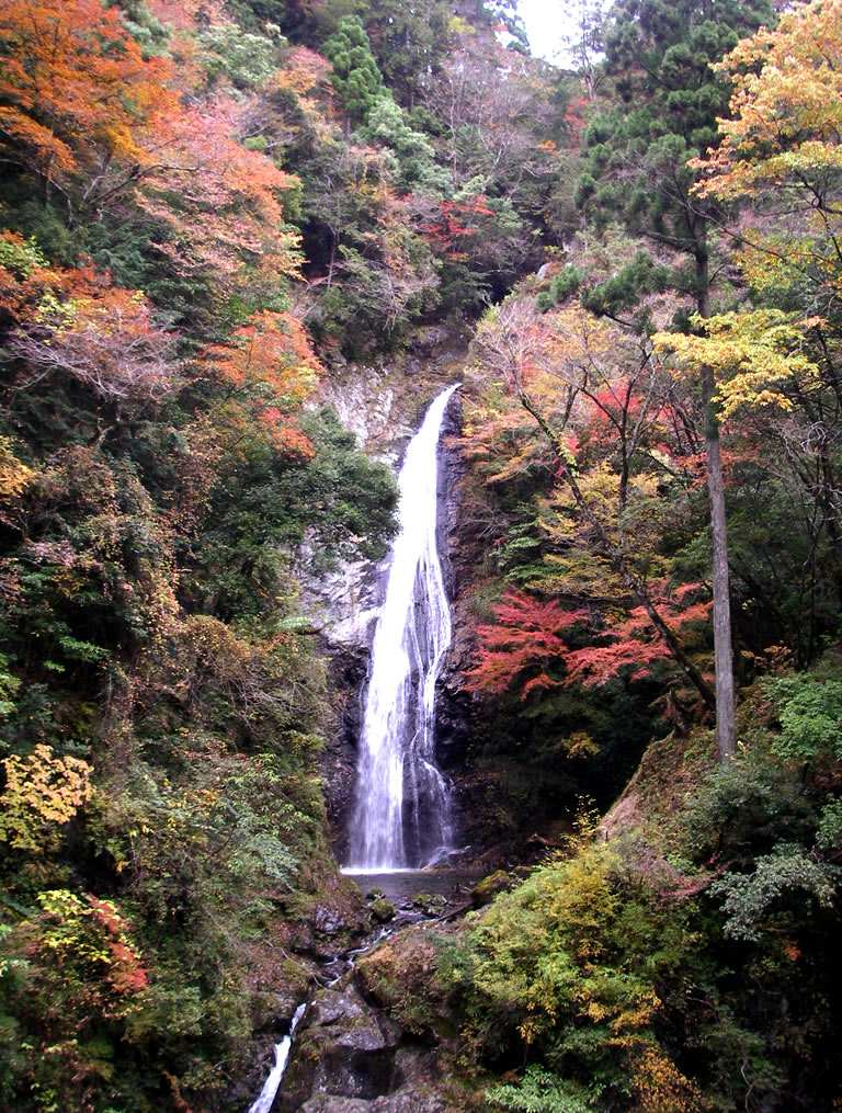 日本紅葉名所100選のひとつ。燃えるような深紅に染まる最上山公園