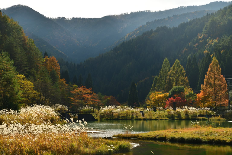 山採り 山もみじ 紅葉観に行こうよう 最上山 もみじ山 | 宍粟 観光モデルコース