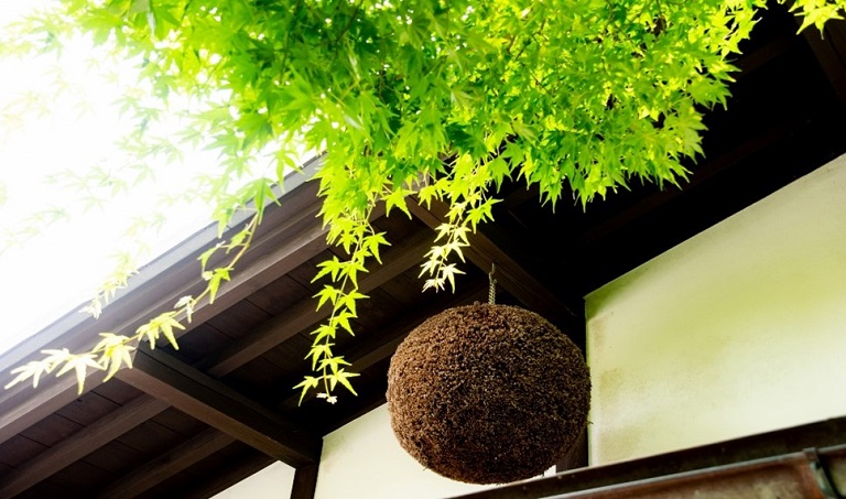 杉玉【屋根付き】② 杉玉【屋根付き】② （杉玉屋根（直径30㎝の杉玉用） - 杉玉の