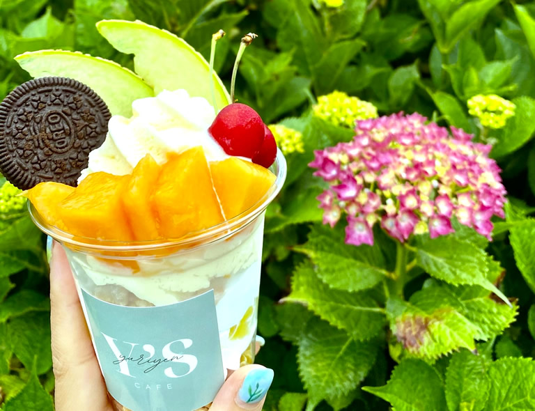 関西最大規模！カラフルな“ゆり”が10万本 “あじさい”も1000株同時に