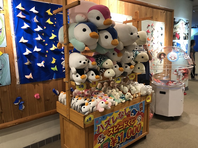 3年後の新水族館オープンに向けて本館営業中！神戸市立須磨海浜