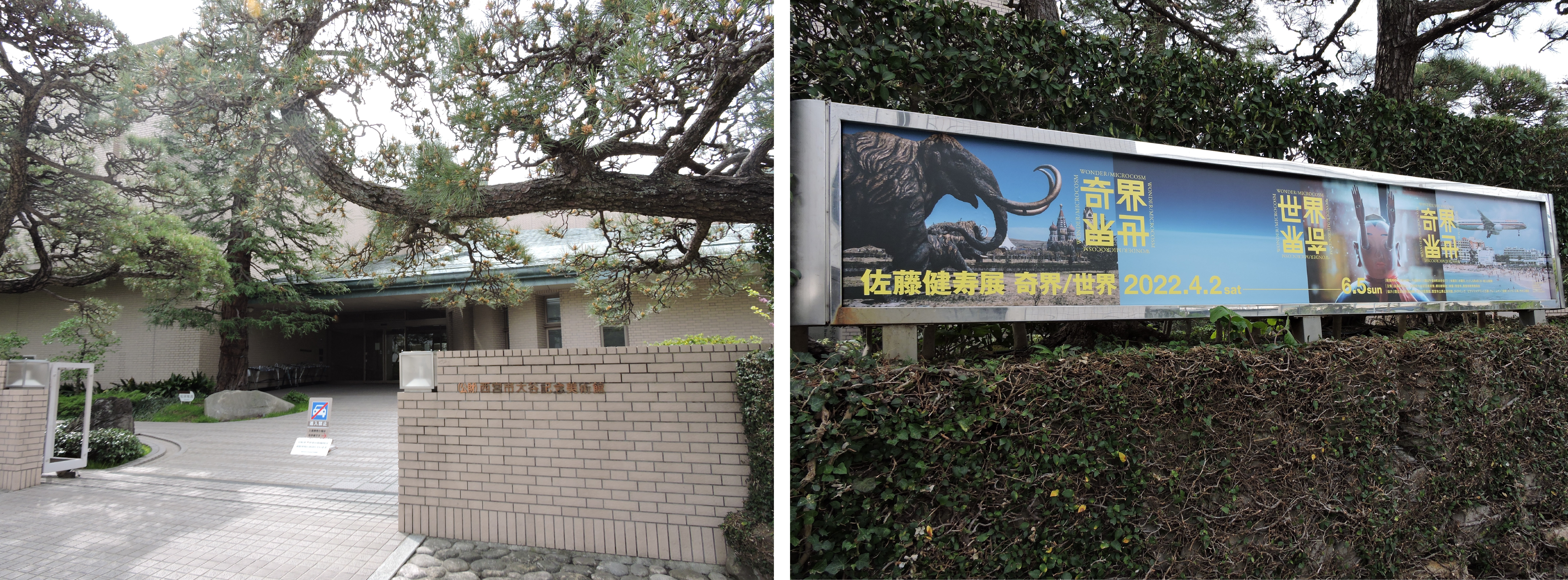 【中古】 心臓のない巨人/小学館/佐藤史生 楽天市場】【中古】 心臓のない巨人 / 佐藤 史生 / 小学館