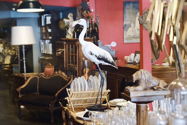 A mix of antique goods in the store 'Sibora' 