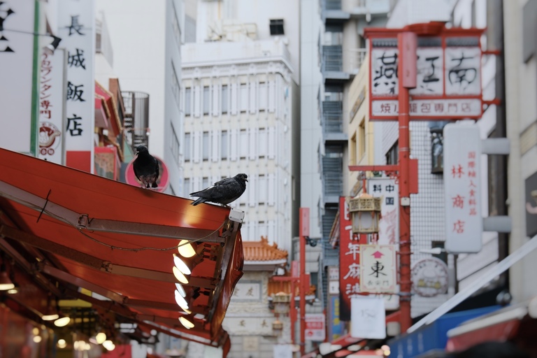 ส่วนหนึ่งของโคะเบะนี้เต็มเปี่ยมด้วยความมีชีวิตชีวาในวันฝนตกด้วย 