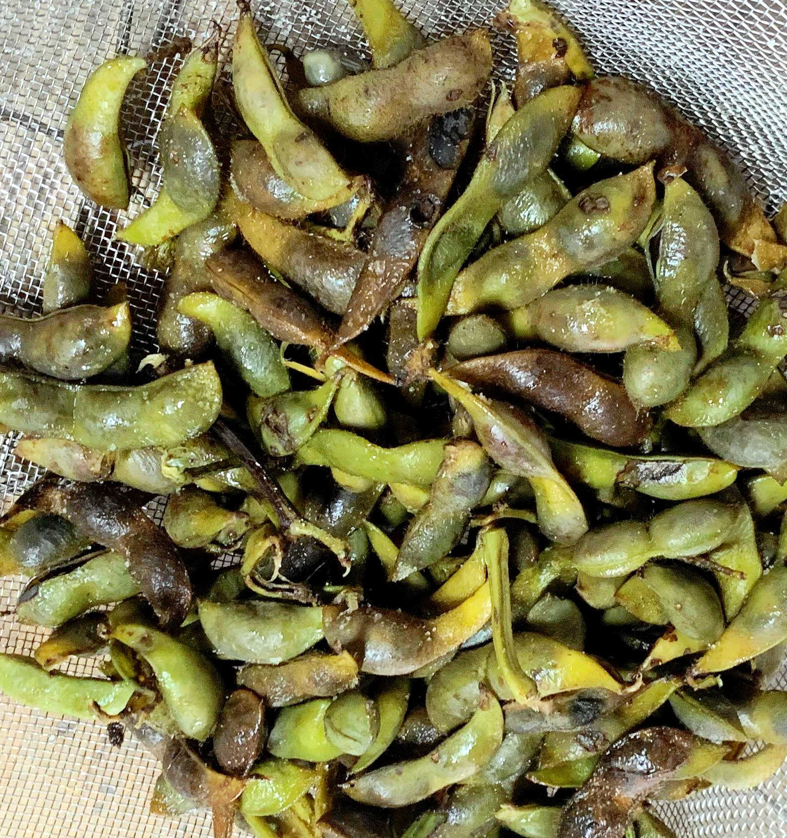 枝豆　黒豆 丹波篠山 黒枝豆 枝豆 丹波 黒豆 300g×2 丹波篠山産 2024年 枝豆