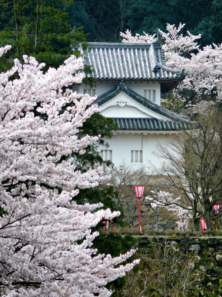 出石桜まつり