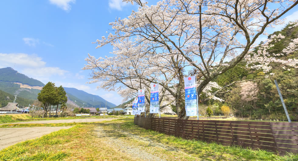 神河町吉富畑川原に唯一現存する馬車道